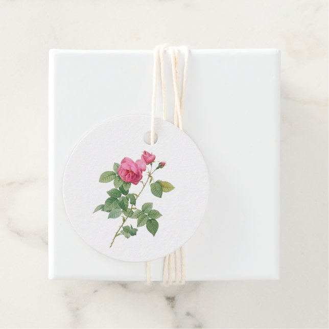 Étiquettes Cadeau Rose botanique vintage rose (En situation)