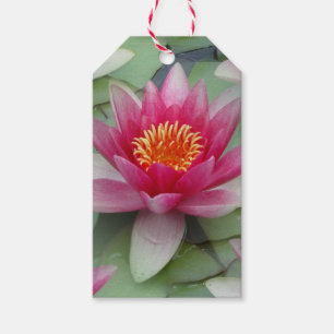 Étiquettes-cadeau Rose Lotus Water Lily