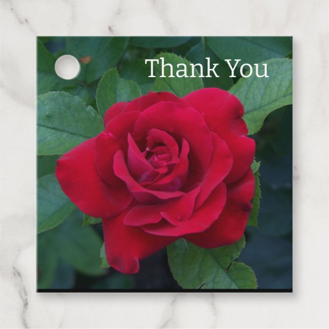 Étiquettes Cadeau Rose rouge de près (Devant)