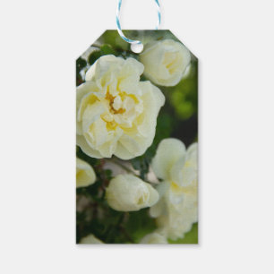 Étiquettes-cadeau Roses blanches mignonnes pour positives