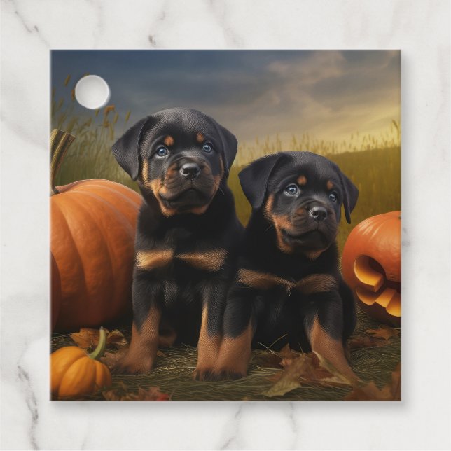 Étiquettes Cadeau Rottweiler Chiot Automne Citrouille de plaisir (Devant)