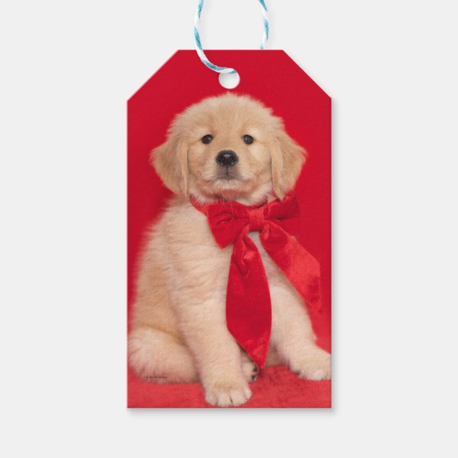 Étiquettes-cadeau Ruban rouge Chipot rouge Golden Retriever (Devant)
