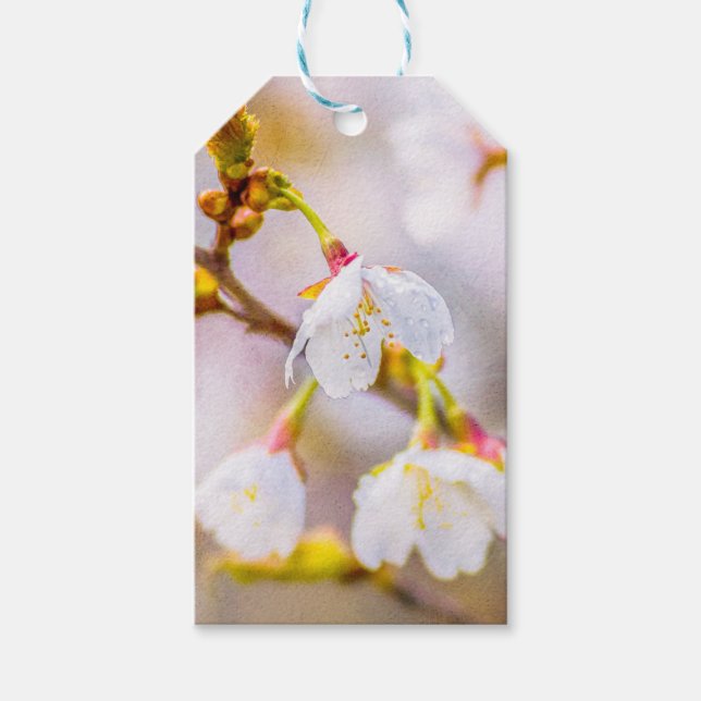 Étiquettes-cadeau Sakura - Fleur de cerisier japonaise (Devant)