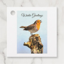 Salutations d'hiver. Rouge-gorge chantant