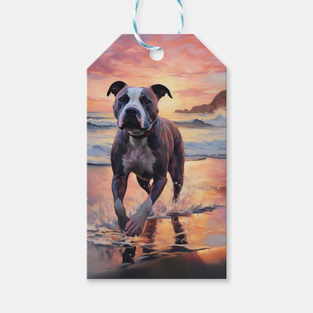 Étiquettes-cadeau Sandy American Staffordshire Dog on Beach Sunset (Devant)