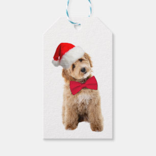 Étiquettes-cadeau Santa Doodle Dog