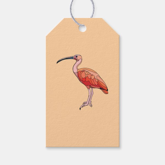 Étiquettes-cadeau Scarlet Ibis Bird Joyeux anniversaire (Devant)