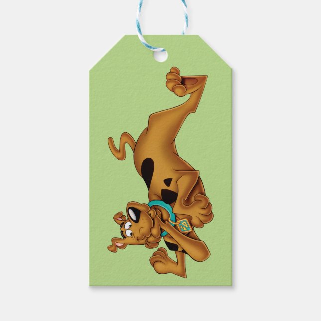 Étiquettes-cadeau Scooby Doo Allongé (Devant)