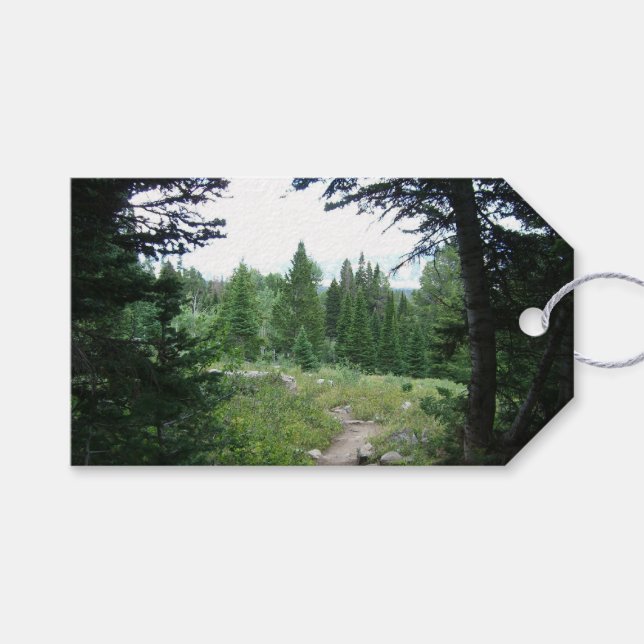 Étiquettes-cadeau Sentier Grand Teton (Devant (Horizontal))