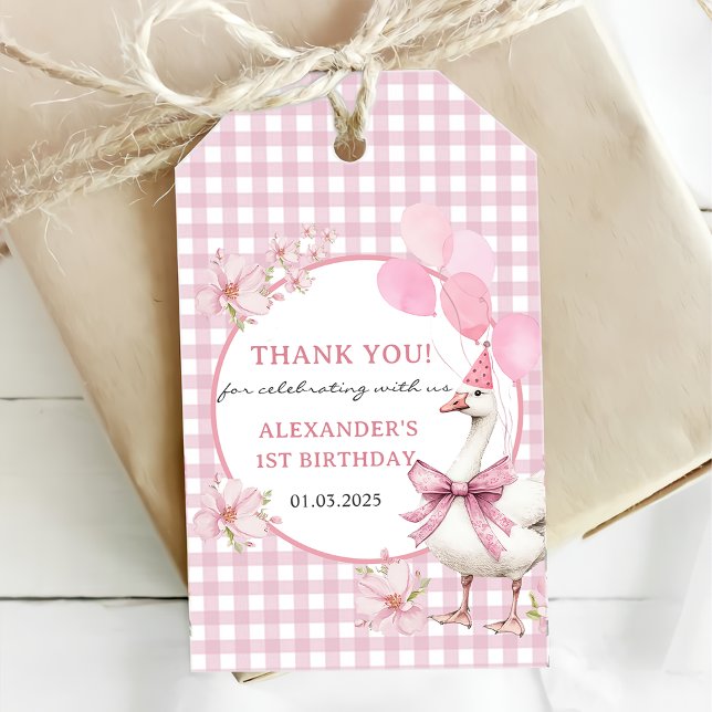 Étiquettes-cadeau Silly Goose 1er anniversaire (Créateur téléchargé)