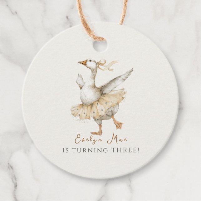 Étiquettes Cadeau Silly Goose 3rd Birthday Watercolor (Devant)