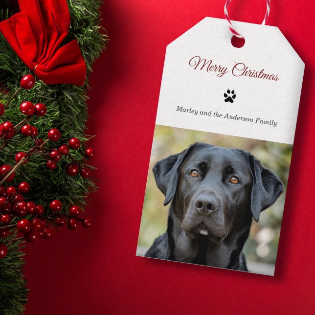 Étiquettes-cadeau Simple chien photo Joyeux Noël (Simple Dog Photo Merry Christmas Gift Tags)
