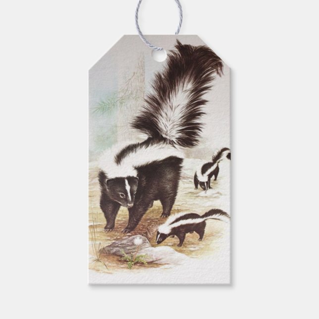Étiquettes-cadeau Skunks Dans La Neige (Devant)