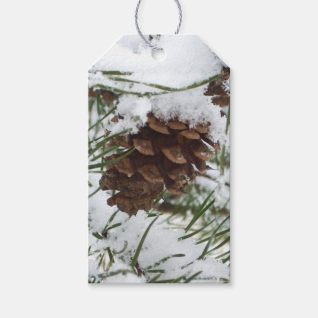 Étiquettes-cadeau Snowy Pine Cone I (Devant)