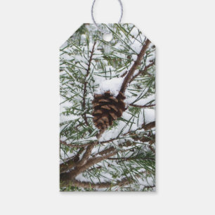 Étiquettes-cadeau Snowy Pine Cône II hiver Photographie de la nature