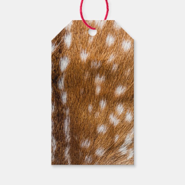 Étiquettes-cadeau Spotted deer pour texture (Devant)
