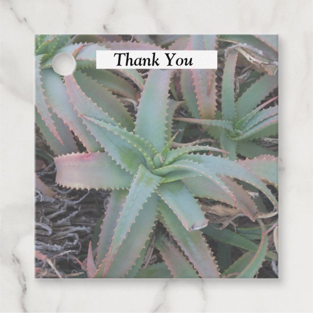 Étiquettes Cadeau Succulentes du Nevada         (Devant)