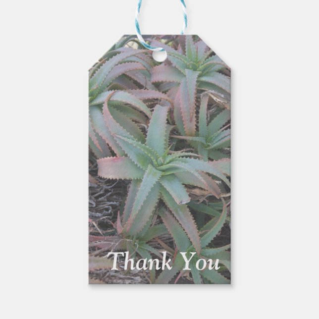 Étiquettes-cadeau Succulentes du Nevada        (Devant)
