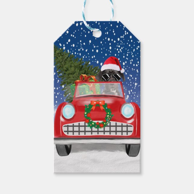 Étiquettes-cadeau Super Dane Chien Conduite Voiture En Neige Noël (Devant)