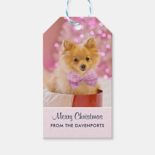 Étiquettes-cadeau Sympa Chien de Noël avec Bow Rose Photo