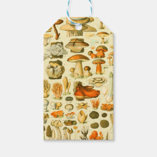Étiquettes-cadeau Tabouret de toilette Vintage de champignons Illust