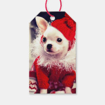 Tag cadeau CHIHUAHUA DANS UN chapeau de Père Noël