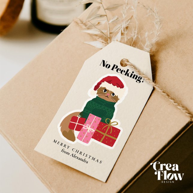 Étiquettes-cadeau Tag cadeau de Noël Chat Personnaliser (Adorable Personalized Holiday Gift Tags featuring a Grumpy Cat in a Green Christmas Sweater )