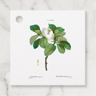 Étiquettes Cadeau TAG vintage BOTANIQUE "MAGNOLIA" FAVOR