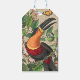 Étiquettes-cadeau Toucan Jungle Tropical Bird Belle antique