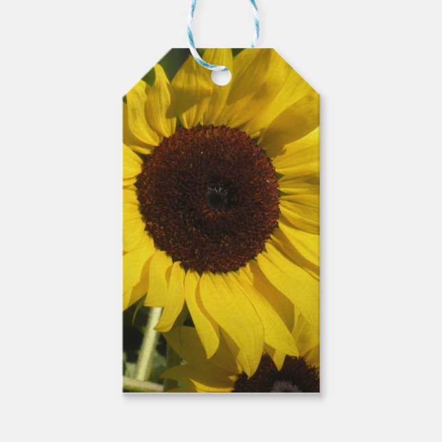 Étiquettes-cadeau Tournesol (Devant)