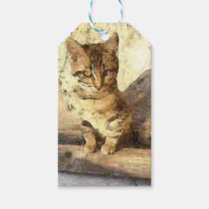 Étiquettes-cadeau Tous Les Chats Sont Noirs Dans Le Croquis Crayon S