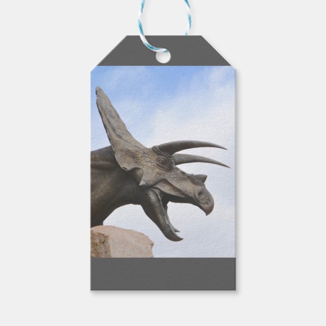 Étiquettes-cadeau Tricératops Dinosaur (Devant)