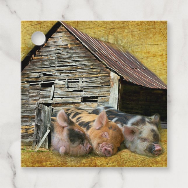 Étiquettes Cadeau Trois Petits Cochons À La Grange Rustique Snoozing (Devant)