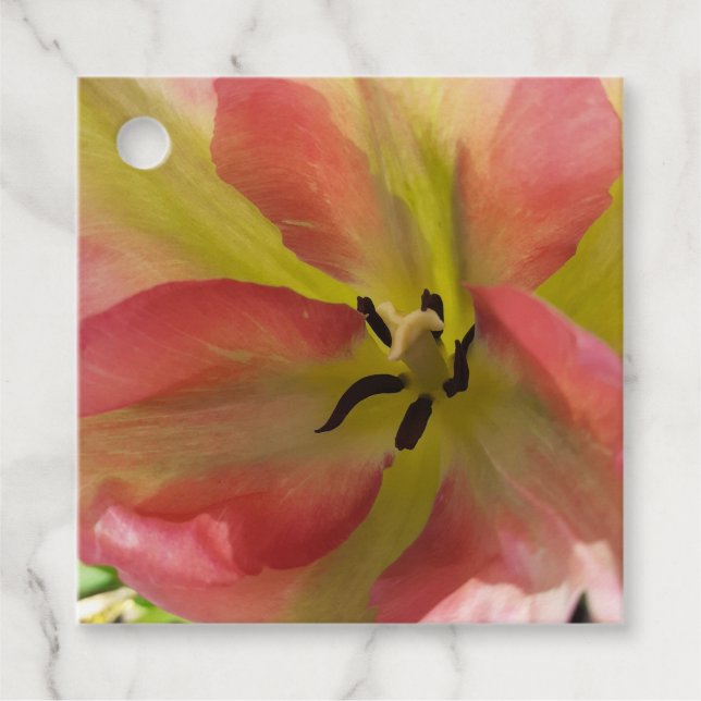 Étiquettes Cadeau Tulipe rose et jaune  (Devant)