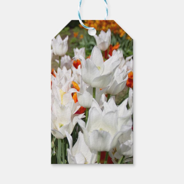 Étiquettes-cadeau Tulipes blanches et gingembre dans le jardin (Devant)
