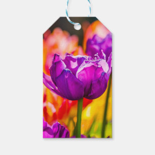 Étiquettes-cadeau Tulipes Enchantant violet