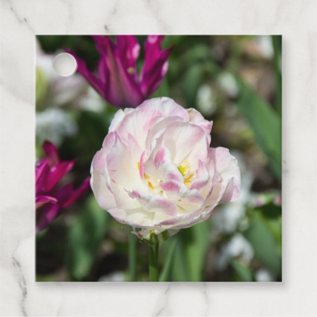 Étiquettes Cadeau Tulipes rose vif par jour ensoleillé (Devant)