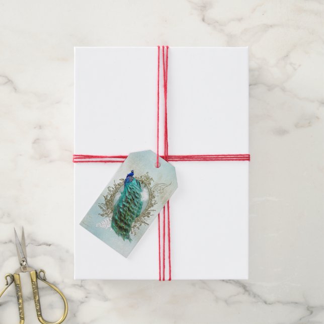 Étiquettes-cadeau Turquoise Shabby Peacock (Avec de la ficelle)