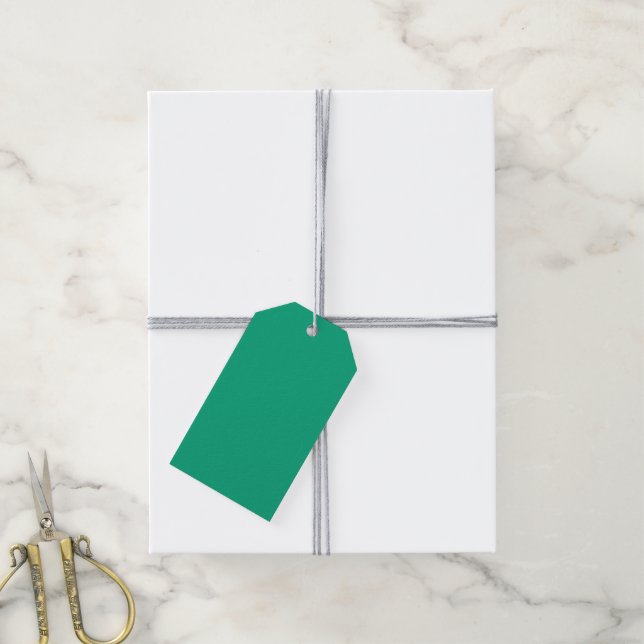 Étiquettes-cadeau Turquoise Vivid  (Avec de la ficelle)