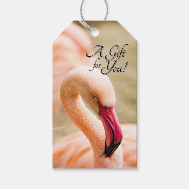 Étiquettes-cadeau Un beau flamant rose  (Devant)