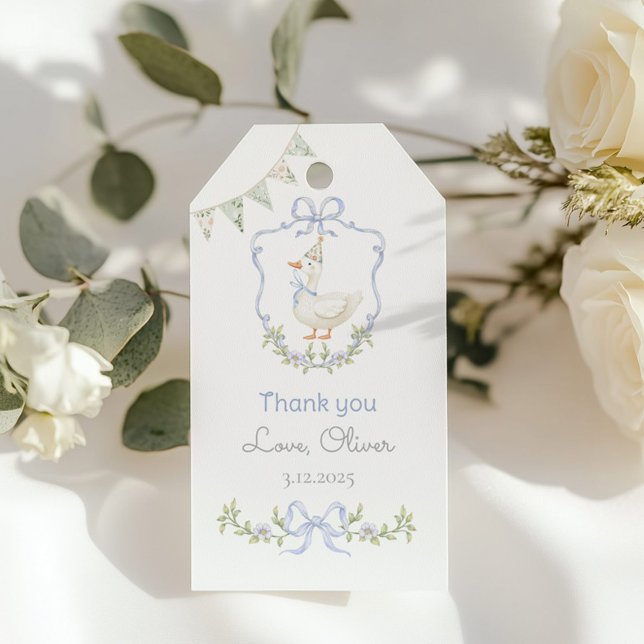 Étiquettes-cadeau Un Merci de fête d'anniversaire à une oie stupide (Créateur téléchargé)