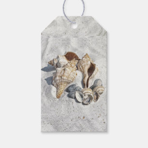 Étiquettes-cadeau Une collection de coquillages sur le sable
