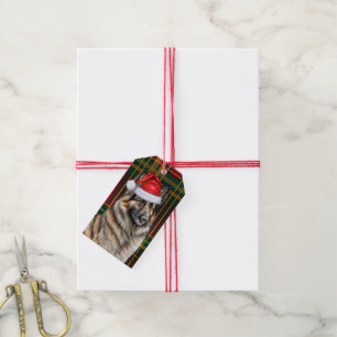 Étiquettes-cadeau Vacances Plaid Belge Tervuren Amoureux des chiens