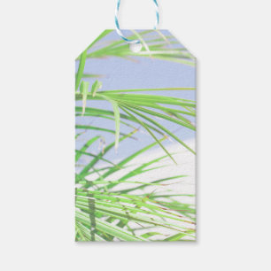 Étiquettes-cadeau Vibes d'été Palm Tree Feuilles Pale Green