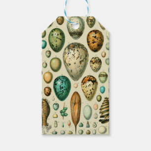 Étiquettes-cadeau Vintage Bird Eggs French Fish Egg