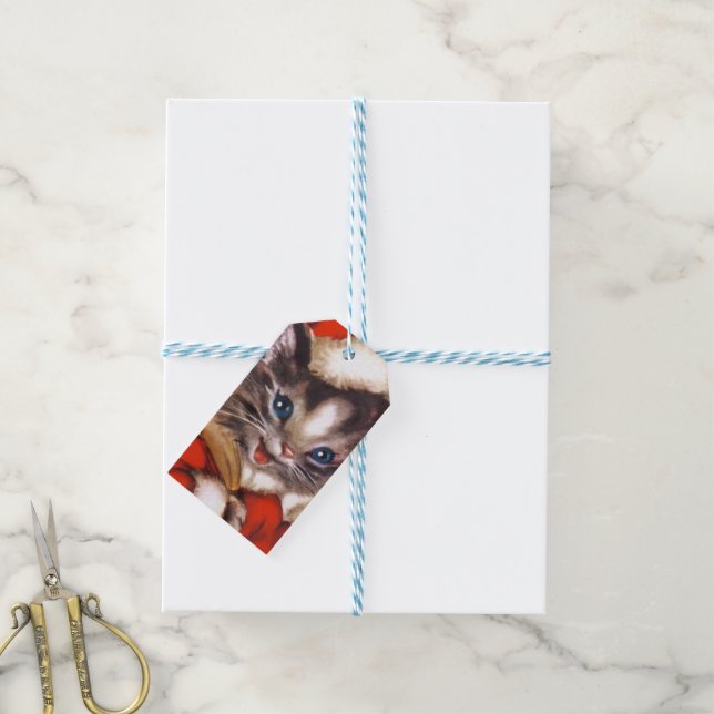 Étiquettes-cadeau vintage retro chat de Noël (Avec de laficelle)