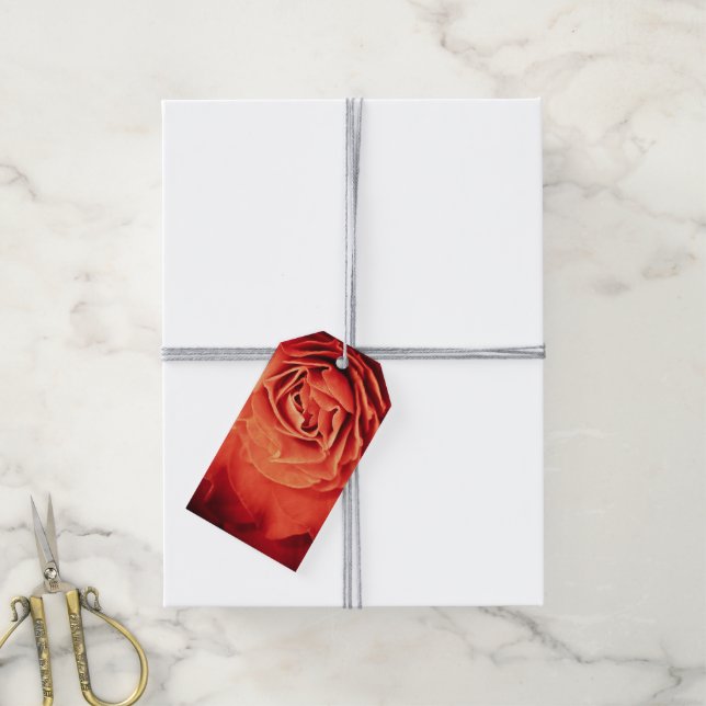 Étiquettes-cadeau vivant rose (Avec de la ficelle)