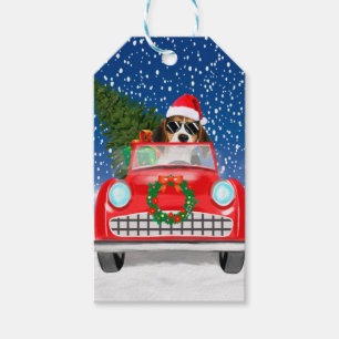 Étiquettes-cadeau Voiture De Conduite De Chien beagle En Noël De Nei