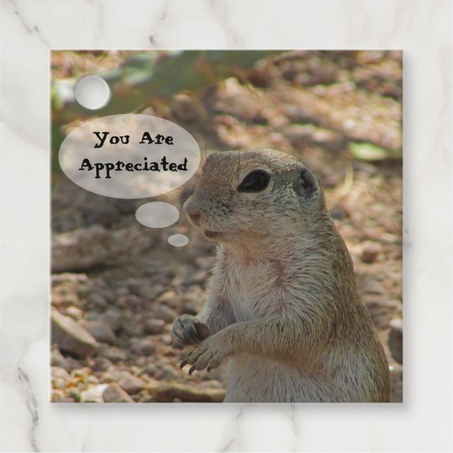 Étiquettes Cadeau Vous Êtes Apprécié Écureuil Terrestre Animal Merci (Devant)