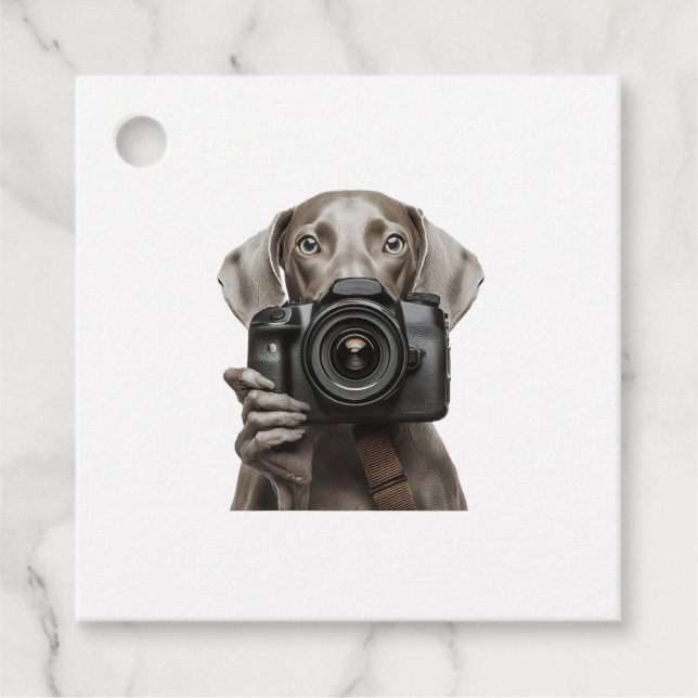 Étiquettes Cadeau Weimaraner  (Devant)